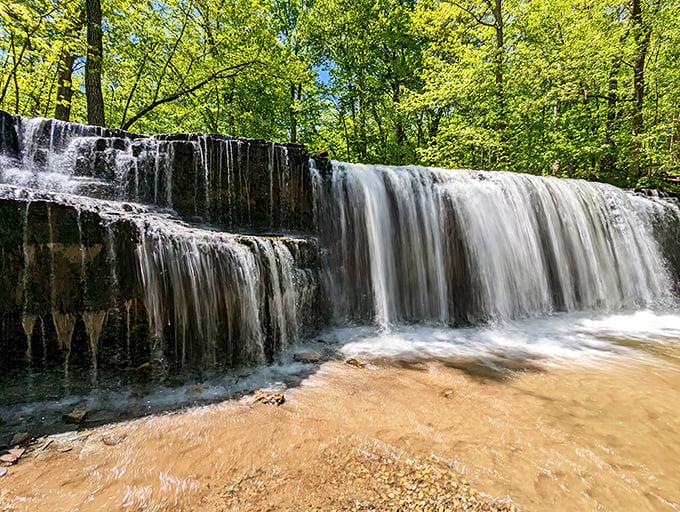 Nature's own waterpark! Hidden Falls cascades down limestone ledges, creating a mesmerizing display that'll make you forget you're in Minnesota, not Niagara.