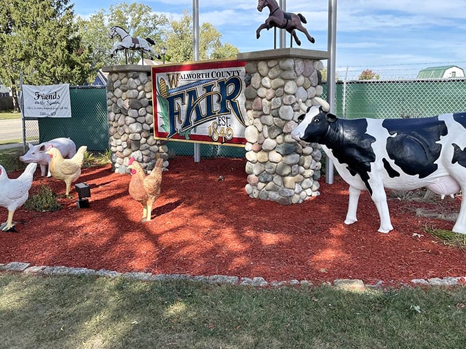 Welcome to farm animal nirvana! This quirky entrance sets the tone for a day of whimsical discoveries and nostalgic charm.