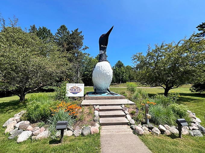 Behold, the bird that put Mercer on the map! Claire d' Loon stands tall, ready to chat your ear off about Wisconsin's natural wonders.