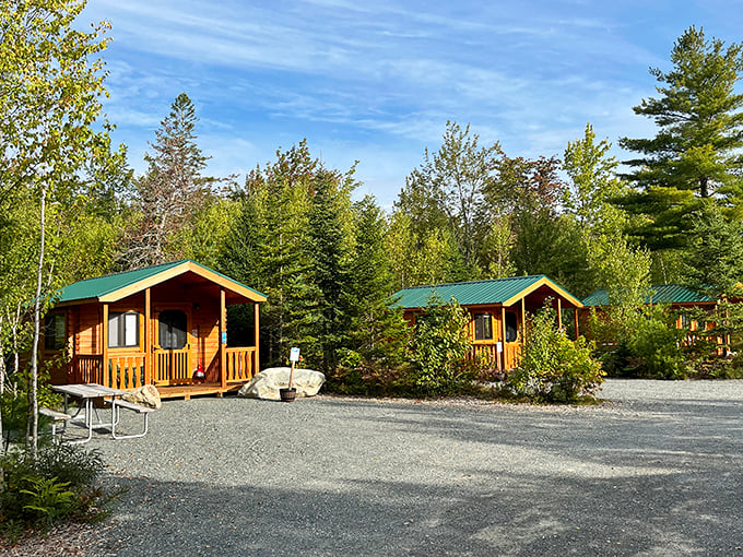 Welcome to Wild Acadia, where Mother Nature and fun collide! This entrance is like a portal to childhood summers – minus the awkward growth spurts and braces.