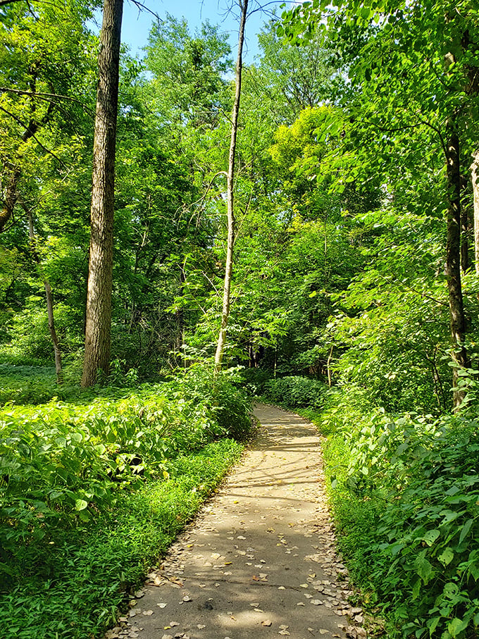 "Welcome to the Emerald City of Illinois! This trail at Franklin Creek State Natural Area is so green, you'll think you've stumbled into Oz."