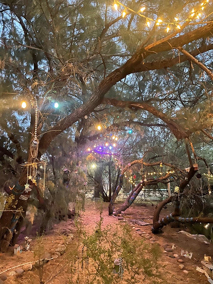 Twilight transforms this desert oasis into a twinkling wonderland. It's like Mother Nature decided to throw her own Coachella, but with better lighting and fewer flower crowns.