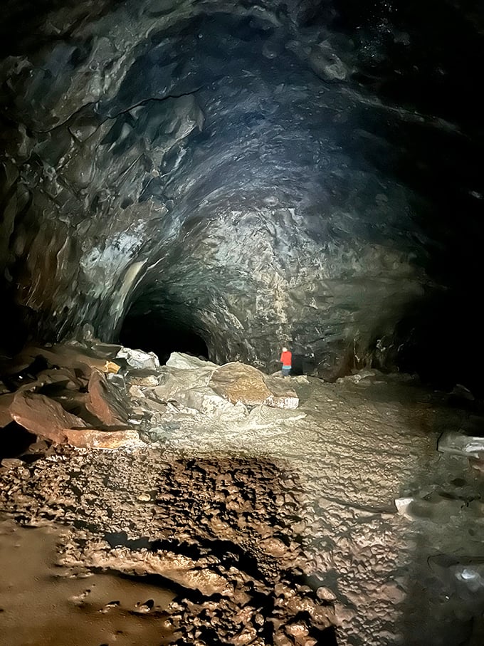 Welcome to nature's underground labyrinth! This unassuming entrance is like a secret door to Narnia, minus the talking animals and eternal winter.