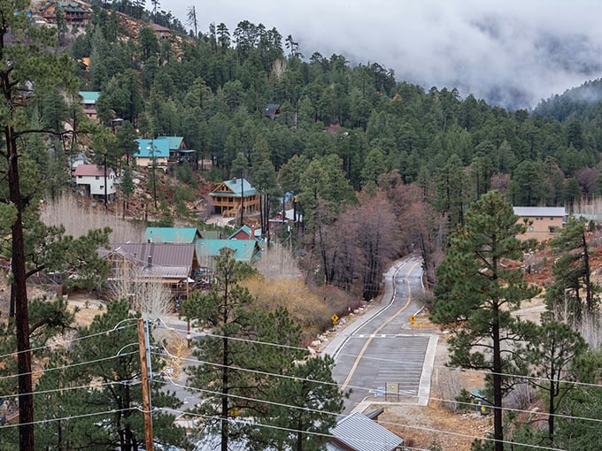 Nestled in nature's embrace, Summerhaven beckons. This mountain hamlet looks like it was plucked from a fairytale, complete with misty mornings and pine-scented air.