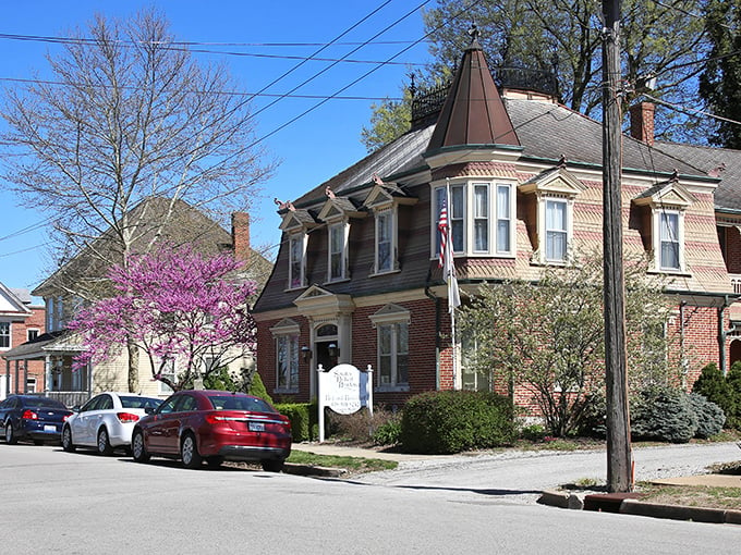 Waterloo's charm hits you like a warm hug from grandma. This historic home, with its blooming redbud tree, whispers tales of yesteryear and promises of small-town adventures.