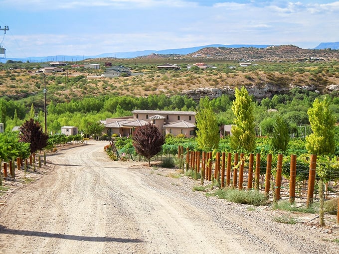 Welcome to wine country, Arizona style! The Verde Valley Wine Trail winds through sun-drenched vineyards and rustic charm, proving that desert and Dionysus can indeed be best friends.