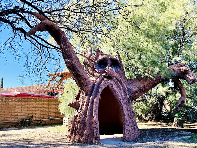 "Who needs a yellow brick road when you've got a purple tree?" This whimsical entrance sets the stage for a journey into Tucson's very own Wonderland.