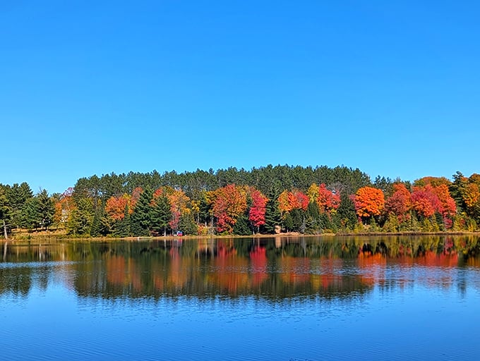 Autumn's vibrant palette reflects in the tranquil lake, creating a stunning mirror image of fall foliage against a clear blue sky.