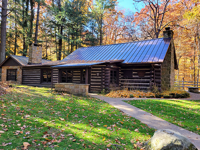 Log cabin dreams come true! This rustic retreat looks like it jumped straight out of a Hallmark movie, complete with a metal roof that probably sings in the rain.