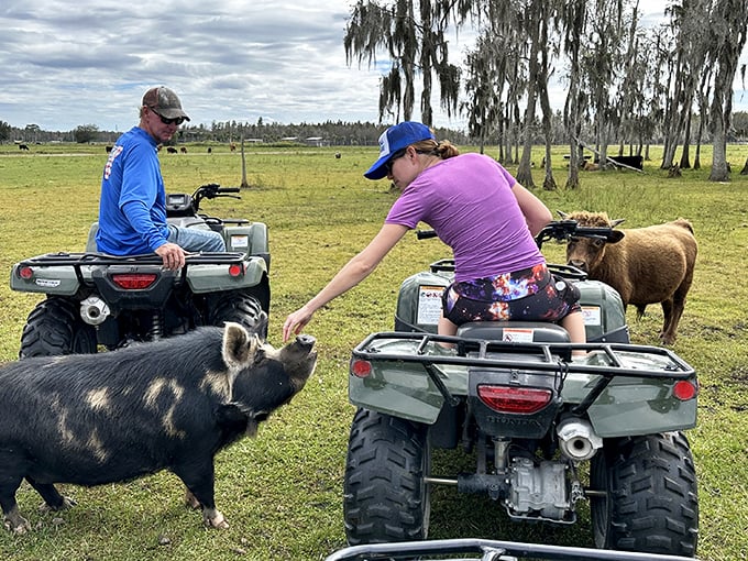 "Welcome to the Zebra Zone!" Get up close and personal with these striped stunners, no passport required. Florida's own slice of Africa awaits!