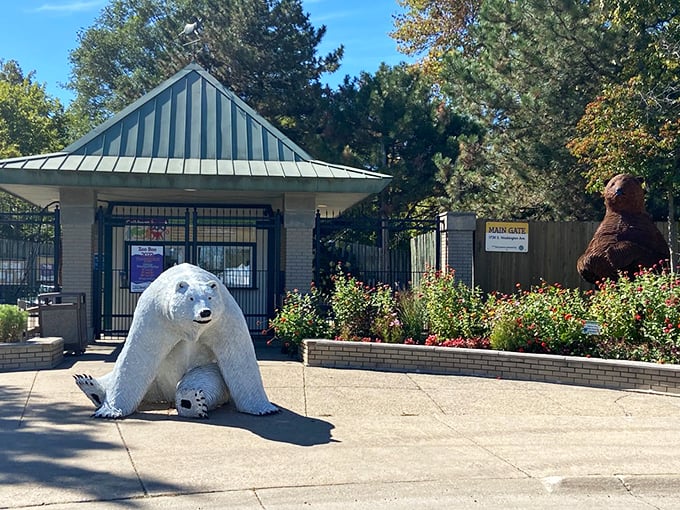 From asphalt to the wild side—this stop blends sunshine, wildlife, and just a little courage.