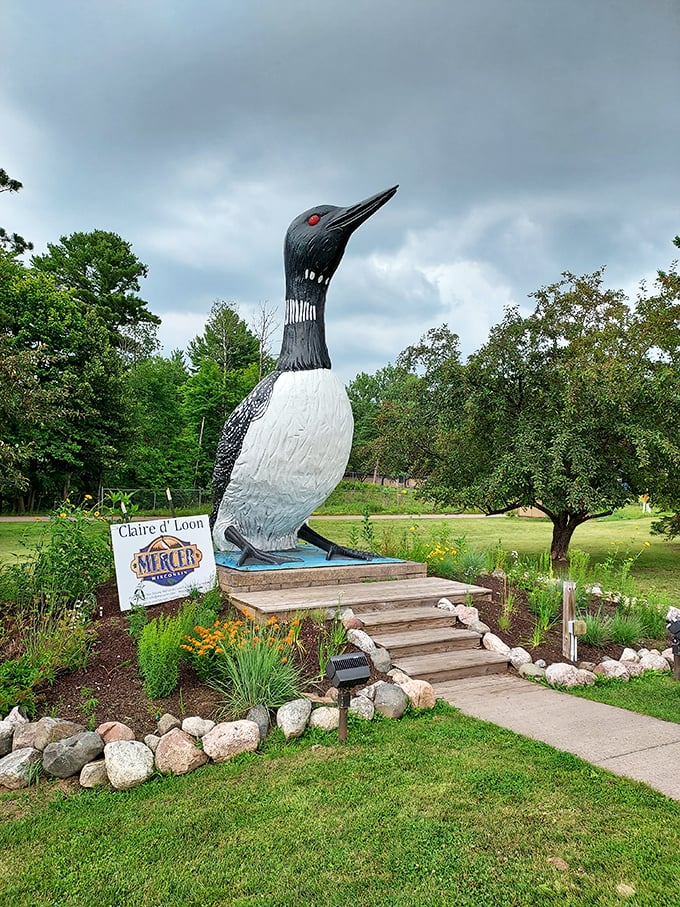 Behold, the bird that put Mercer on the map! Claire d' Loon stands tall, ready to chat your ear off about Wisconsin's natural wonders.