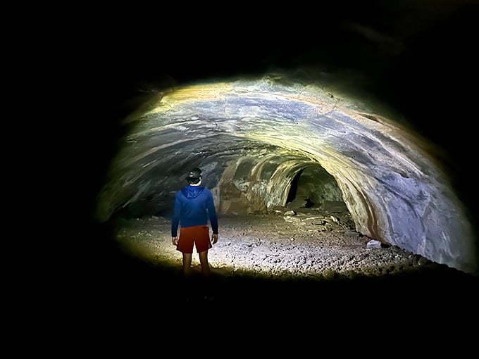 Welcome to nature's underground labyrinth! This unassuming entrance is like a secret door to Narnia, minus the talking animals and eternal winter.