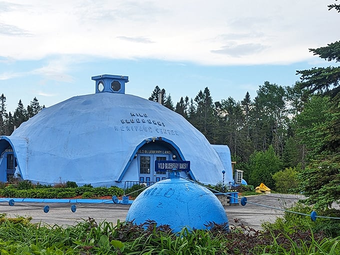 Blueberry heaven or Smurf village? This dome-shaped delight looks like it popped right out of a children's storybook. Berry good architecture, if you ask me!