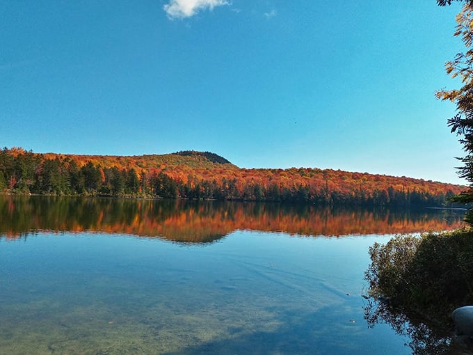 Mirror, mirror on the pond: Nature's own Instagram filter turns this lake into a masterpiece of fall colors.