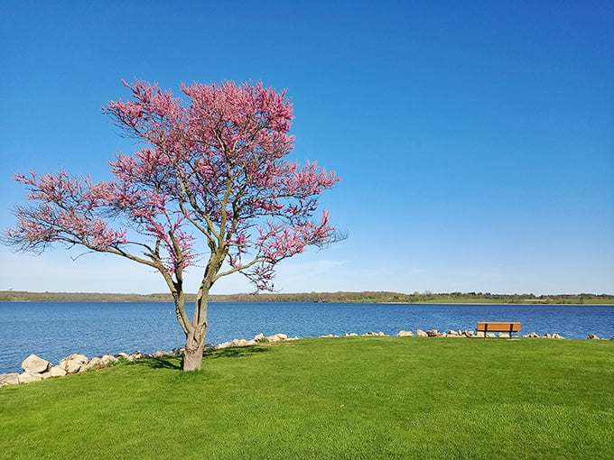 Nature's canvas unfolds: Buck Creek State Park's serene shoreline invites you to dip your toes in tranquility. Who needs a beach vacation when paradise is in your backyard?