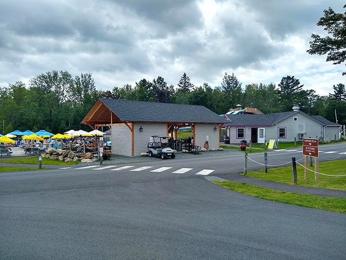 Welcome to Wild Acadia, where Mother Nature and fun collide! This entrance is like a portal to childhood summers – minus the awkward growth spurts and braces.