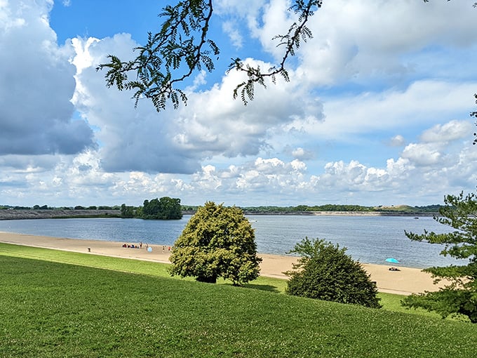 Nature's canvas unfolds: Buck Creek State Park's serene shoreline invites you to dip your toes in tranquility. Who needs a beach vacation when paradise is in your backyard?