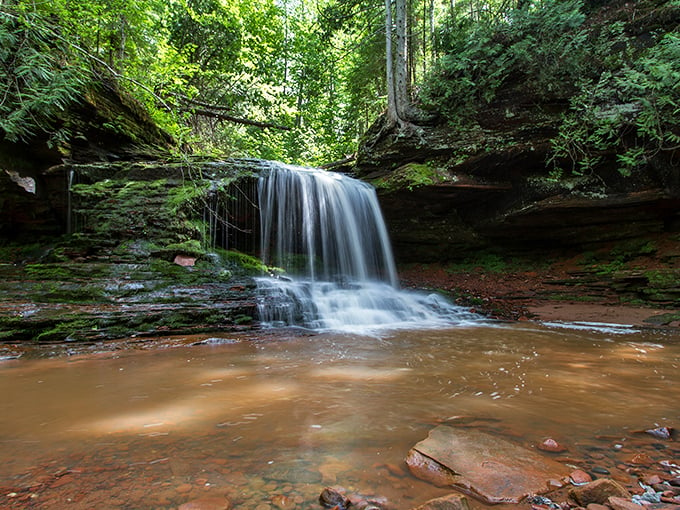 Nature's own watercolor masterpiece! Lost Creek Falls cascades down moss-covered rocks, creating a scene so picturesque it puts Bob Ross to shame.