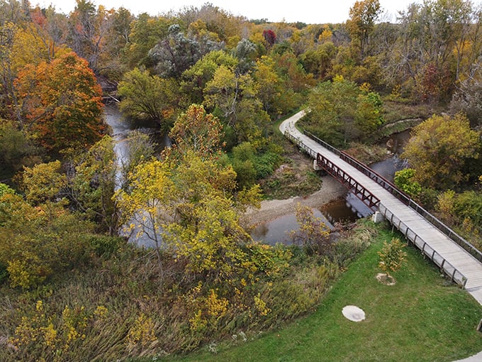 Nature's own rollercoaster! This winding boardwalk through autumn foliage is like a scenic ride through a Crayola factory explosion.