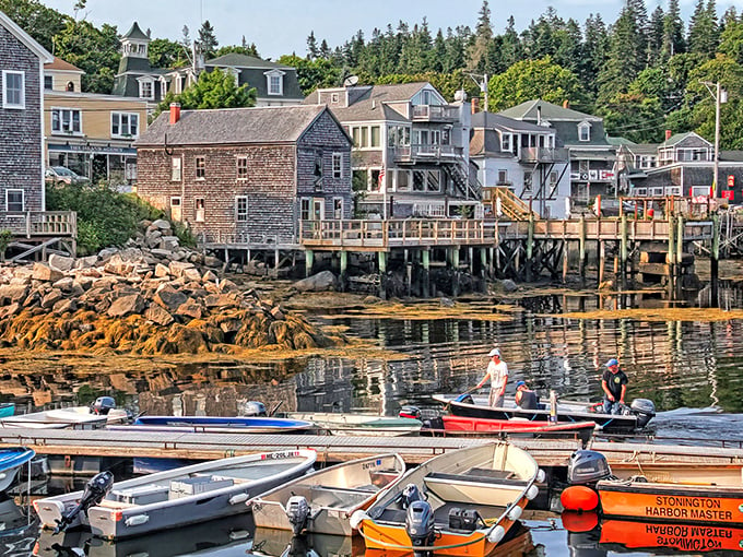 A feast for the senses! Colorful boats bob in the harbor, promising the freshest seafood this side of Atlantis.