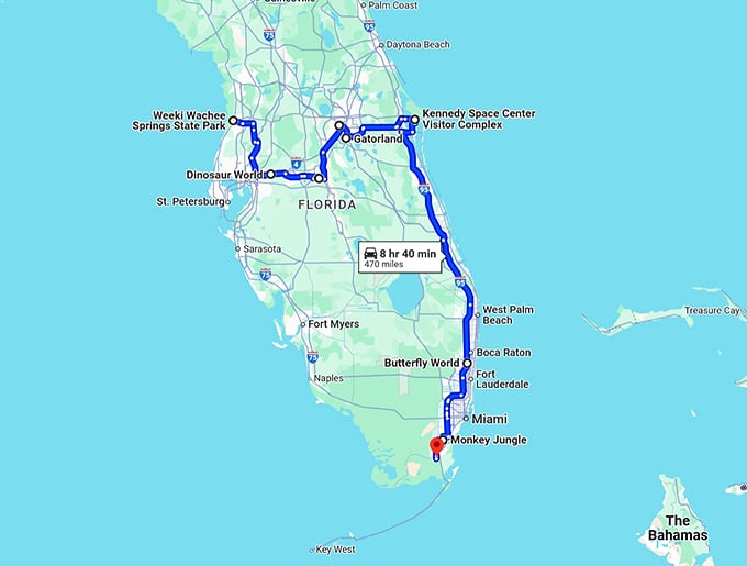 wacky-trip-florida-attractions map