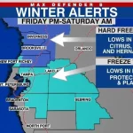 Cold Weather Alert for Tampa: Brace for Frosty Nights and Chilly Temps—Stay Warm